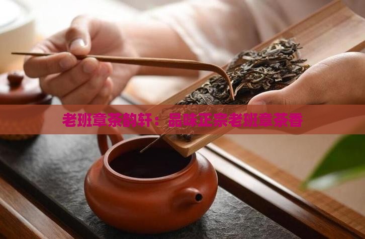 老班章茶韵轩：品味正宗老班章茶香