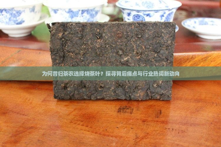 为何昔归茶农选择烧茶叶？探寻背后痛点与行业热词新动向