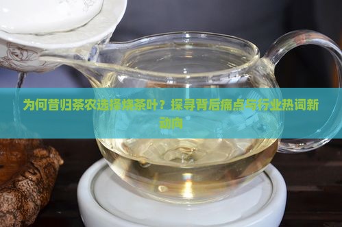 为何昔归茶农选择烧茶叶？探寻背后痛点与行业热词新动向