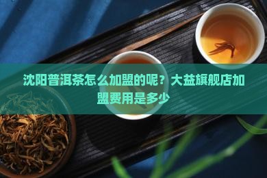 沈阳普洱茶怎么加盟的呢？大益旗舰店加盟费用是多少