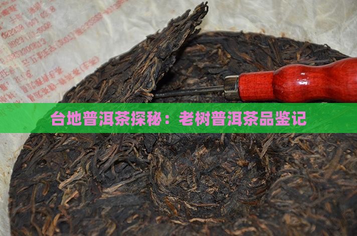 台地普洱茶探秘：老树普洱茶品鉴记
