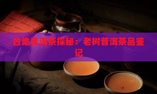 台地普洱茶探秘：老树普洱茶品鉴记