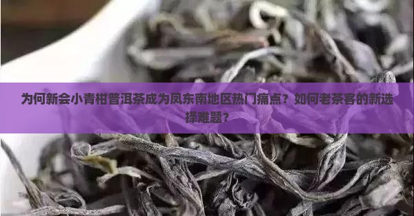 为何新会小青柑普洱茶成为凤东南地区热门痛点？如何老茶客的新选择难题？