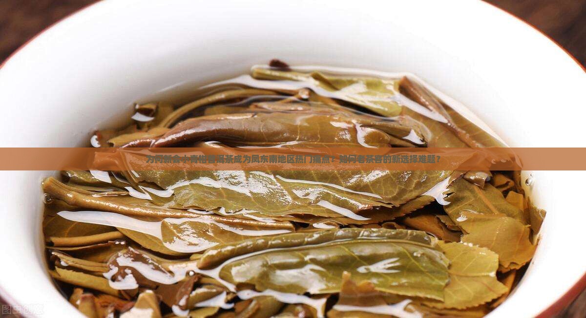 为何新会小青柑普洱茶成为凤东南地区热门痛点？如何老茶客的新选择难题？