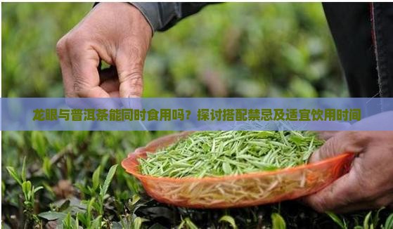龙眼与普洱茶能同时食用吗？探讨搭配禁忌及适宜饮用时间