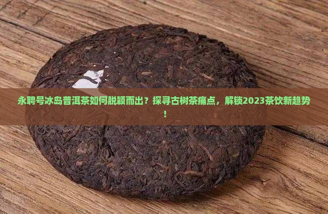 永聘号冰岛普洱茶如何脱颖而出？探寻古树茶痛点，解锁2023茶饮新趋势！