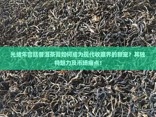 光绪年宫廷普洱茶膏如何成为现代收藏界的新宠？其独特魅力及市场痛点！