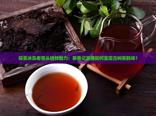探索冰岛老茶头独特魅力：茶香记直播如何呈现古树茶韵味？