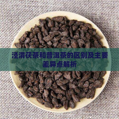 泾渭茯茶和普洱茶的区别及主要差异点解析