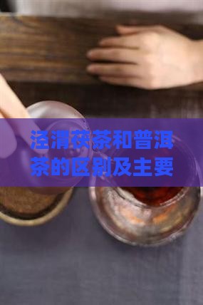 泾渭茯茶和普洱茶的区别及主要差异点解析