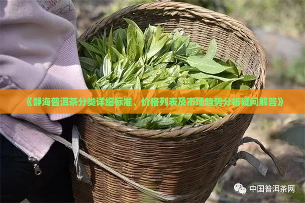 《静海普洱茶分类详细标准、价格列表及市场趋势分析疑问解答》