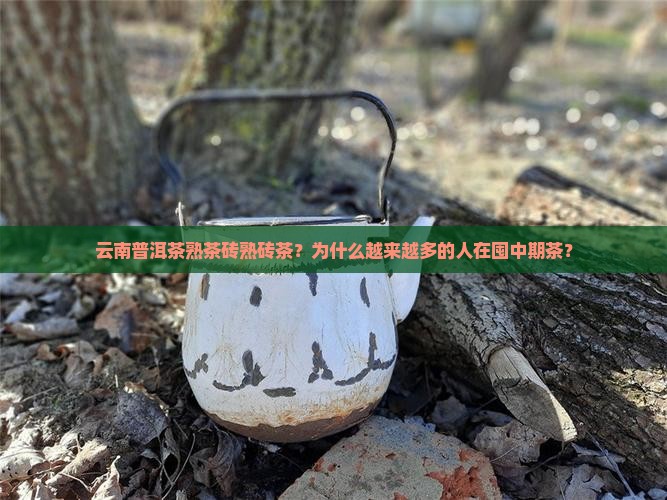 云南普洱茶熟茶砖熟砖茶？为什么越来越多的人在囤中期茶？