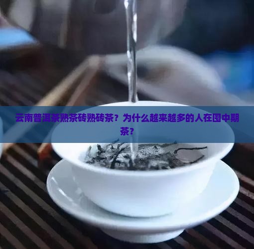 云南普洱茶熟茶砖熟砖茶？为什么越来越多的人在囤中期茶？