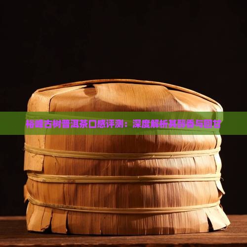 裕峰古树普洱茶口感评测：深度解析其醇香与回甘