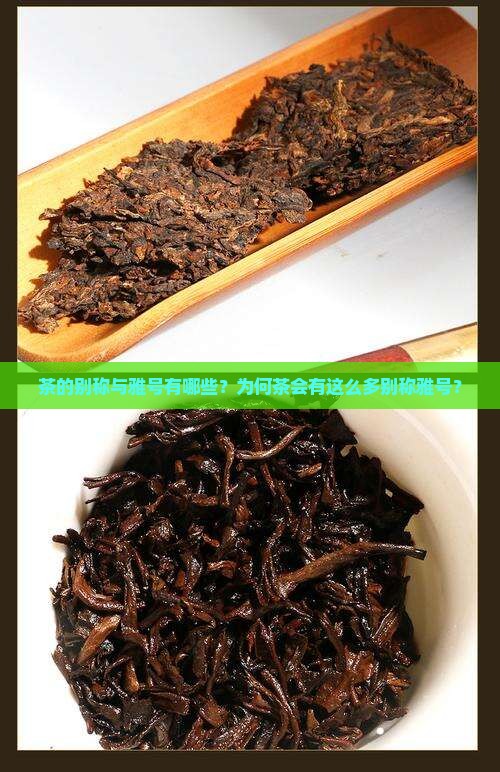 茶的别称与雅号有哪些？为何茶会有这么多别称雅号？