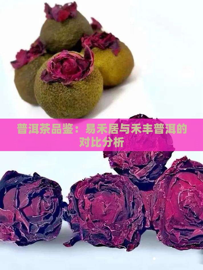 普洱茶品鉴：易禾居与禾丰普洱的对比分析