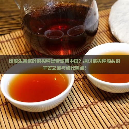 印度生茶茶叶的树种是否源自中国？探讨茶树种源头的千古之谜与当代热点！