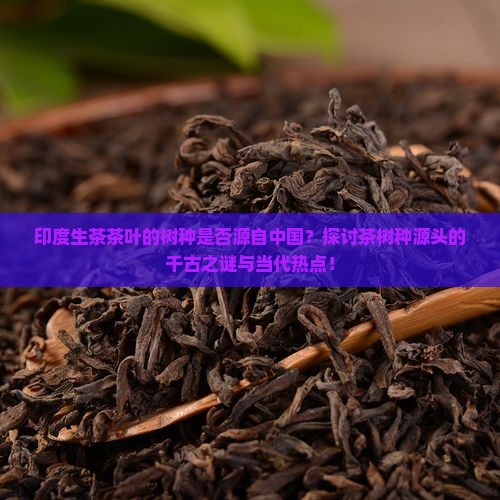 印度生茶茶叶的树种是否源自中国？探讨茶树种源头的千古之谜与当代热点！