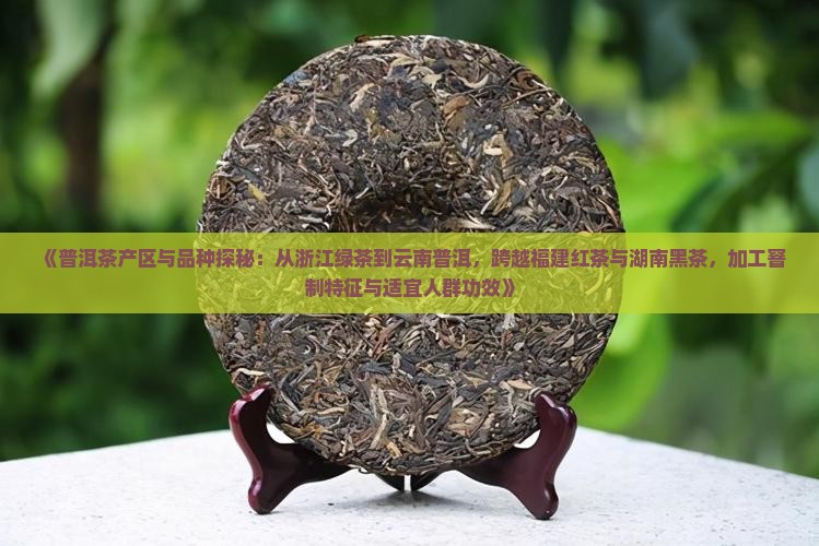 《普洱茶产区与品种探秘：从浙江绿茶到云南普洱，跨越福建红茶与湖南黑茶，加工窨制特征与适宜人群功效》
