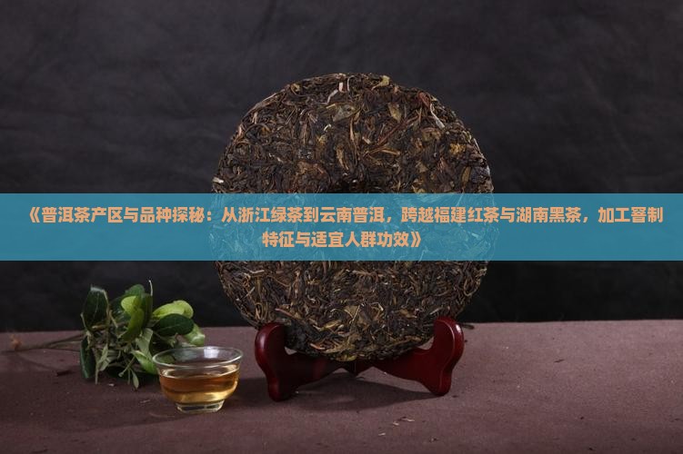《普洱茶产区与品种探秘：从浙江绿茶到云南普洱，跨越福建红茶与湖南黑茶，加工窨制特征与适宜人群功效》