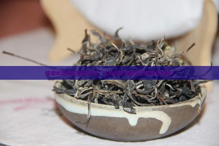 体验冰岛茶的独特风味，它为何纳为茶友们的热议焦点？