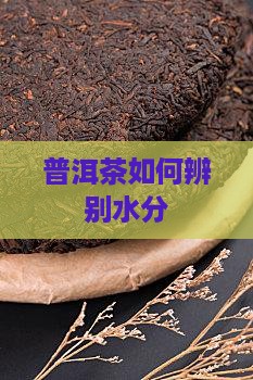 普洱茶如何辨别水分