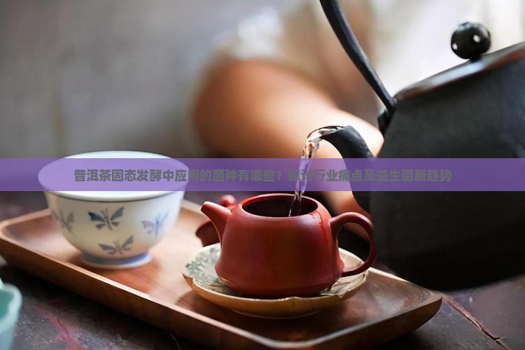 普洱茶固态发酵中应用的菌种有哪些？探讨行业痛点及益生菌新趋势