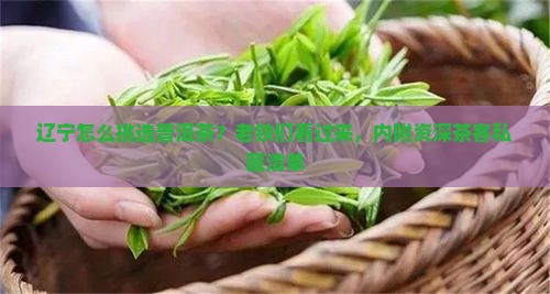 辽宁怎么挑选普洱茶？老铁们看过来，内附资深茶客私藏清单