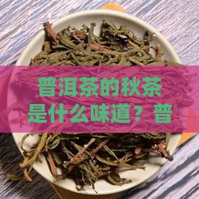 普洱茶的秋茶是什么味道？普洱茶秋茶的特点