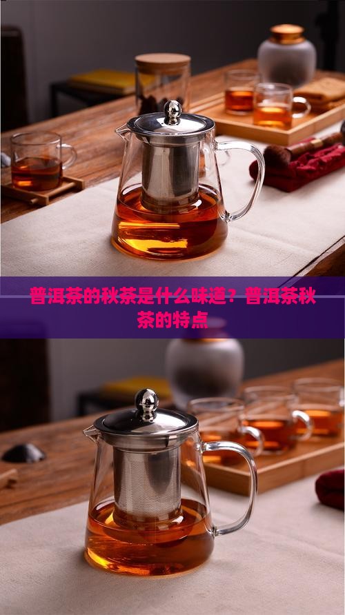普洱茶的秋茶是什么味道？普洱茶秋茶的特点