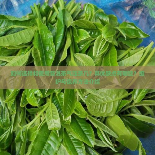 如何选择和使用普洱茶气压茶几？其优缺点有哪些？维护与保养方法介绍
