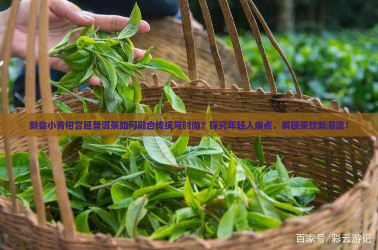 新会小青柑宫延普洱茶如何融合传统与时尚？探究年轻人痛点，解锁茶饮新潮流！