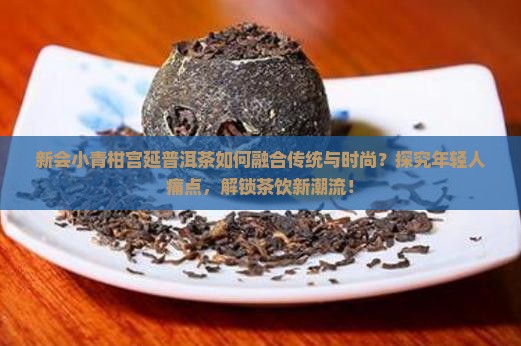 新会小青柑宫延普洱茶如何融合传统与时尚？探究年轻人痛点，解锁茶饮新潮流！