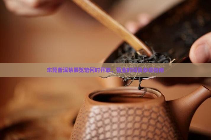 东莞普洱茶展览馆何时开放、营业时间及参观指南