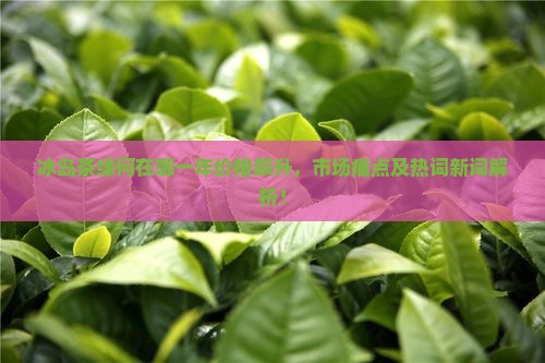 冰岛茶缘何在哪一年价格飙升，市场痛点及热词新词解析！