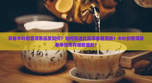 早春木叶醇普洱茶品质如何？如何挑选优质早春普洱茶？木叶醇普洱茶春季饮用有哪些益处？