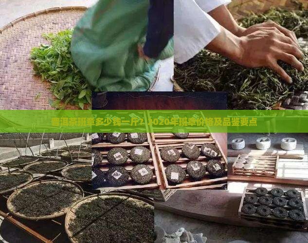 普洱茶班章多少钱一斤？2020年班章价格及品鉴要点