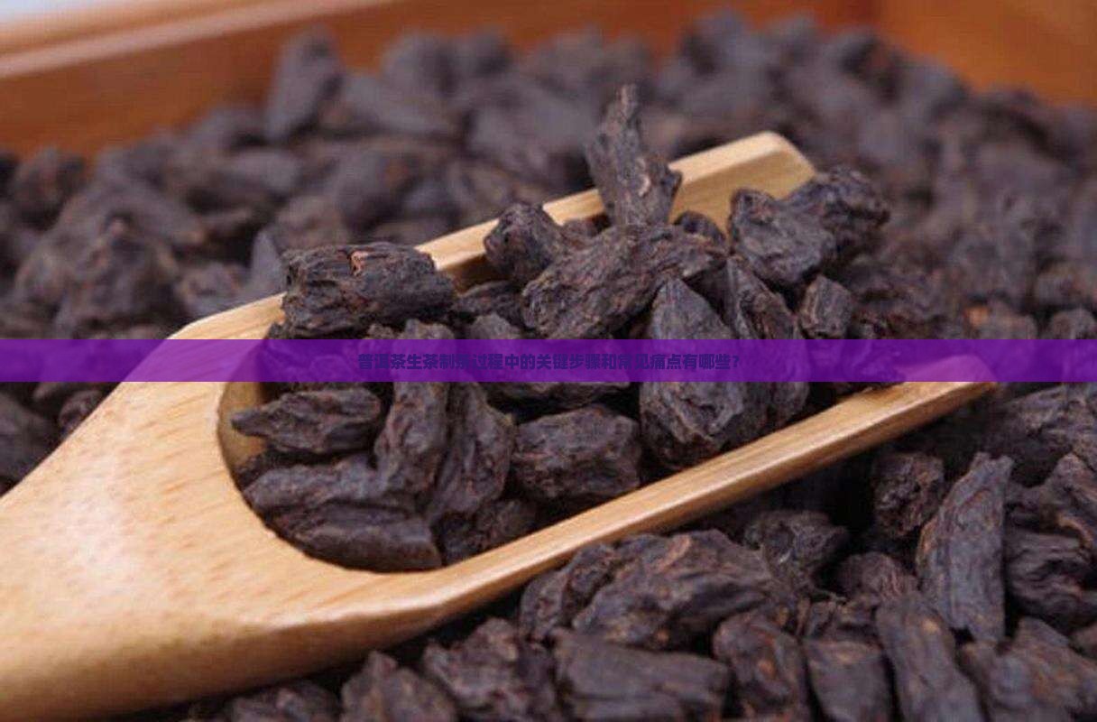 普洱茶生茶制茶过程中的关键步骤和常见痛点有哪些？