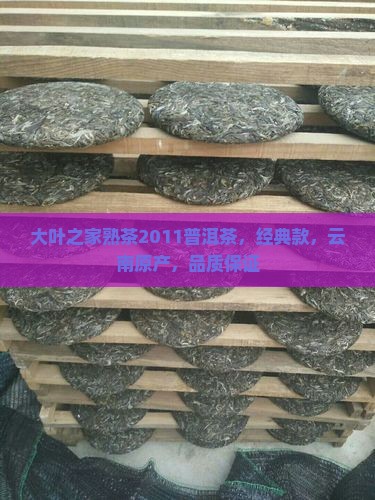 大叶之家熟茶2011普洱茶，经典款，云南原产，品质保证