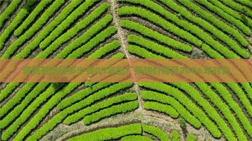 普洱茶宫廷多少钱09年出厂茶饼价格及2006年对比