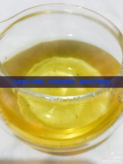 云南普洱马邓茶：传承普洱精髓，品味独特普洱香