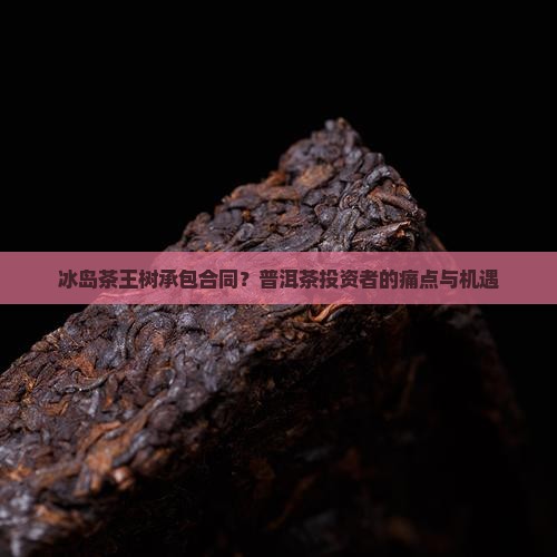 冰岛茶王树承包合同？普洱茶投资者的痛点与机遇