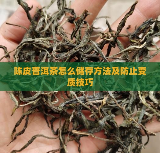 陈皮普洱茶怎么储存方法及防止变质技巧