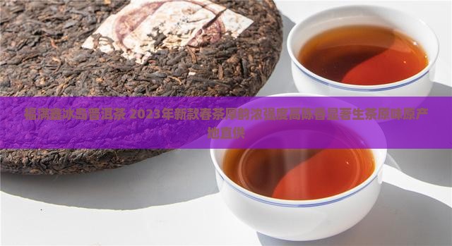福满鑫冰岛普洱茶 2023年新款春茶厚韵浓强度高陈香显著生茶原味原产地直供