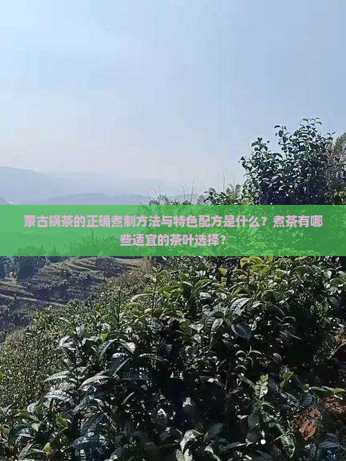 蒙古锅茶的正确煮制方法与特色配方是什么？煮茶有哪些适宜的茶叶选择？