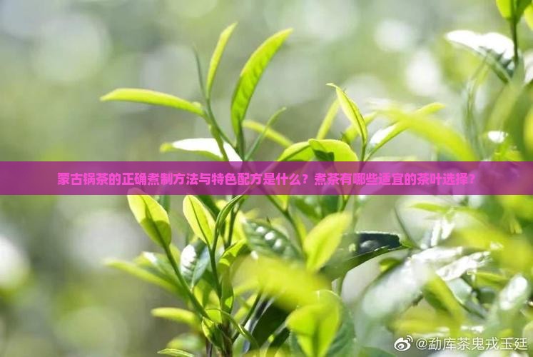 蒙古锅茶的正确煮制方法与特色配方是什么？煮茶有哪些适宜的茶叶选择？