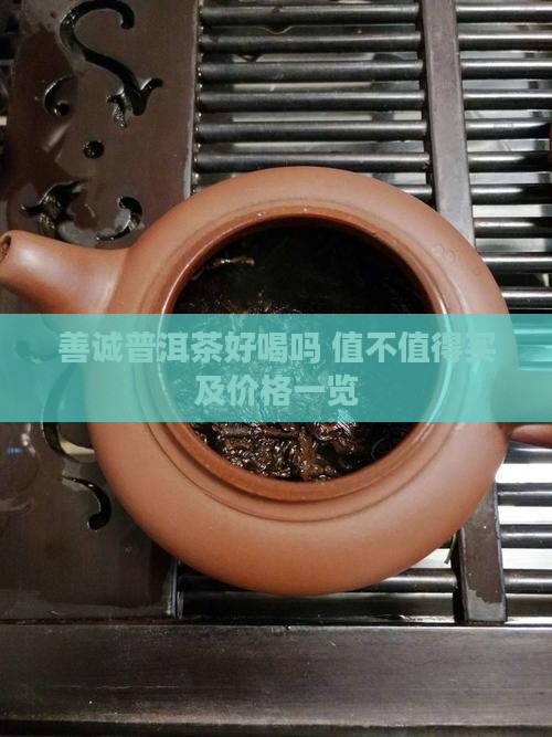 善诚普洱茶好喝吗 值不值得买及价格一览