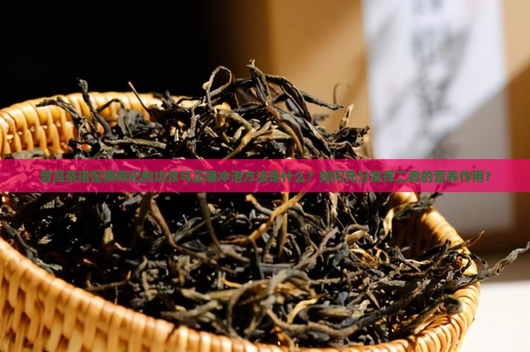 普洱茶搭配黑枸杞的功效与正确冲泡方法是什么？如何充分发挥二者的营养作用？