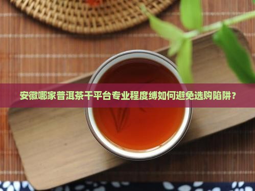 安徽哪家普洱茶干平台专业程度缚如何避免选购陷阱？