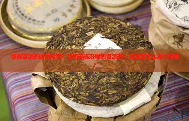 哪些普洱茶值得推荐？如何挑选好喝的普洱茶？普洱茶怎么泡才好喝？
